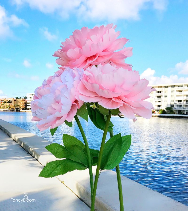 diy giant crepe paper peony