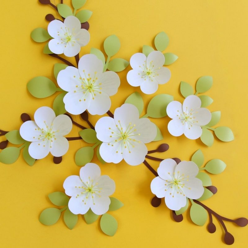 Apple blossom paper flower template