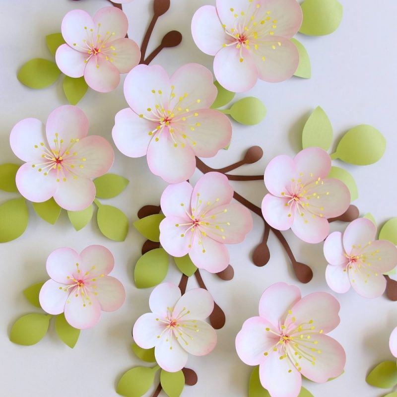 Cherry blossom paper flower template
